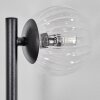 Chehalis globe light, wall light clear, 3-light sources