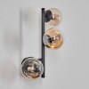 Chehalis globe light, wall light Amber, clear, 3-light sources
