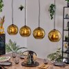 Koyoto hanging light, globe light, pendant light gold, 4-light sources