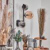Chehalis globe light, wall light 23 cm Amber, Smoke-coloured, 3-light sources