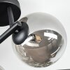 Chehalis ceiling light, globe light Smoke-coloured, 3-light sources