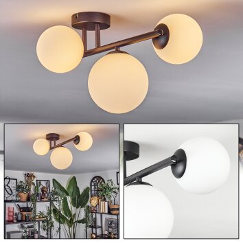 Chehalis ceiling light, globe light white, 3-light sources