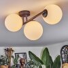 Chehalis ceiling light, globe light white, 3-light sources