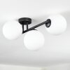Chehalis ceiling light, globe light white, 3-light sources