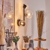 Chehalis globe light, wall light 23 cm clear, 3-light sources