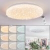 Dacen ceiling light LED white, 1-light source, Remote control
