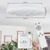 Dacen ceiling light LED white, 1-light source, Remote control