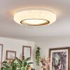 Dayen ceiling light LED silver, white, 1-light source, Remote control