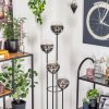 Gastor floor lamp Dark wood, black, 4-light sources