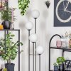 Gastor floor lamp Dark wood, black, 4-light sources