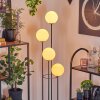 Gastor floor lamp Dark wood, black, 4-light sources