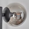 Chehalis globe light, wall light Smoke-coloured, 3-light sources