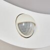 CARANO Outdoor Wall Light LED white, 1-light source, Motion sensor