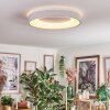 Joren ceiling light, Panel LED white, 1-light source, Remote control