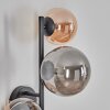 Chehalis globe light, wall light Amber, Smoke-coloured, 3-light sources