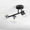 Chehalis ceiling light, globe light clear, 3-light sources