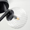 Chehalis ceiling light, globe light clear, 3-light sources