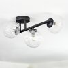 Chehalis ceiling light, globe light clear, 3-light sources
