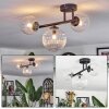 Chehalis ceiling light, globe light clear, 3-light sources