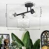 Chehalis ceiling light, globe light clear, 3-light sources