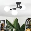 Chehalis ceiling light, globe light white, 3-light sources
