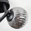 Chehalis ceiling light, globe light Smoke-coloured, 3-light sources
