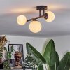 Chehalis ceiling light, globe light white, 3-light sources