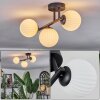 Chehalis ceiling light, globe light white, 3-light sources