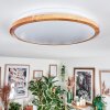 Nogueira ceiling light, Panel LED white, 1-light source, Remote control