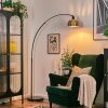 Baloca floor lamp, Arch lamps black, 1-light source