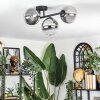 Chehalis ceiling light, globe light clear, Smoke-coloured, 3-light sources