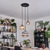 Koyoto hanging light, globe light, pendant light Amber, clear, Smoke-coloured, 3-light sources