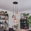 Koyoto hanging light, globe light, pendant light Amber, clear, Smoke-coloured, 3-light sources