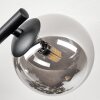 Chehalis ceiling light, globe light Smoke-coloured, 3-light sources