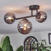 Chehalis ceiling light, globe light Smoke-coloured, 3-light sources