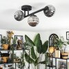 Chehalis ceiling light, globe light Smoke-coloured, 3-light sources