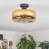 Boza ceiling light gold, clear, 1-light source