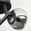 Chehalis ceiling light, globe light clear, Smoke-coloured, 3-light sources
