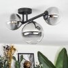 Chehalis ceiling light, globe light clear, Smoke-coloured, 3-light sources