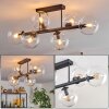 Gastor ceiling light, globe light clear, 6-light sources