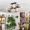 Gastor ceiling light, globe light Amber, clear, Smoke-coloured, 6-light sources