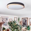Hiral ceiling light, Panel LED Ecru, black, 1-light source, Remote control