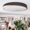 Hiral ceiling light, Panel LED Ecru, black, 1-light source, Remote control
