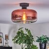 Boza ceiling light clear, coppery, 1-light source