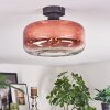 Boza ceiling light clear, coppery, 1-light source