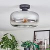 Boza ceiling light clear, Smoke-coloured, 1-light source