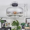 Boza ceiling light clear, Smoke-coloured, 1-light source