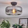Boza ceiling light clear, Smoke-coloured, 1-light source