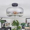 Boza ceiling light clear, Smoke-coloured, 1-light source