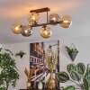 Gastor ceiling light, globe light Amber, Smoke-coloured, 6-light sources